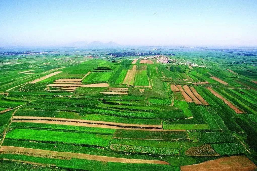 重庆农业科技创新政策,重庆市农业项目立项公示名单