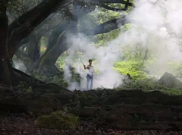 假照片有哪些骗局,那些假照片的背后