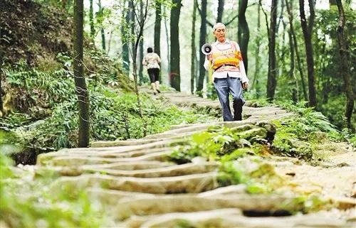 消防官兵扑灭森林大火视频,各地山火扑救情况