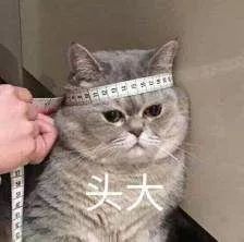 被蚊子咬了特别痒怎么快速止痒,被蚊子咬了痒怎么快速止痒