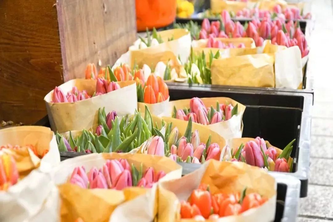 无锡的年货街在哪里,无锡年货街