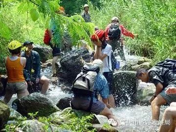 来吧!侧田、黄凯芹邀你到鼎湖一起过大年!