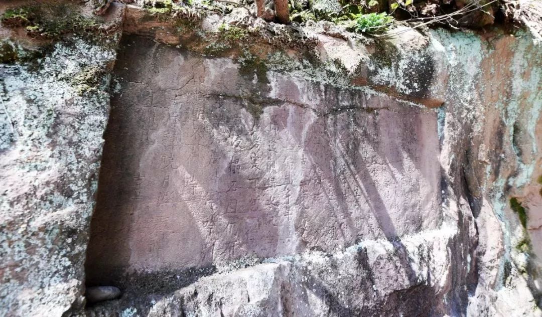 赣州最好玩的公园不要门票,离赣州最近的森林公园还有多远