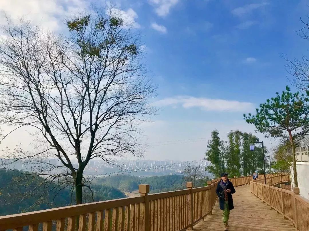 赣州最好玩的公园不要门票,离赣州最近的森林公园还有多远