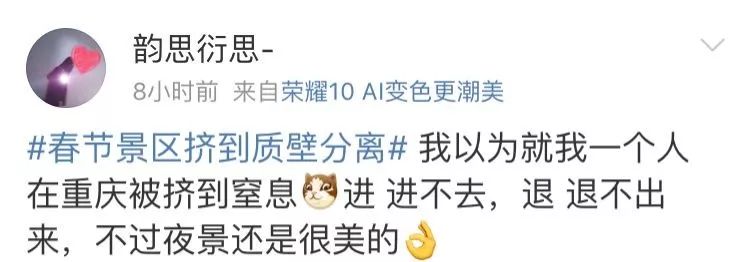 人从众第四个字怎么念,人从众什么意思