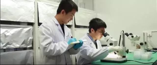 中国科学院院士颜宁老师,颜宁教授最新讲座