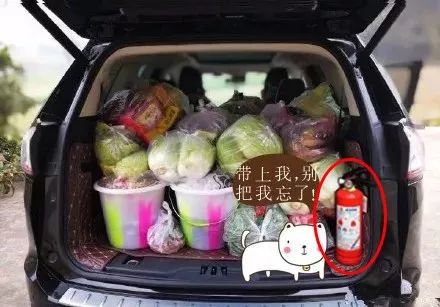 「大年初六」有种爱叫妈妈给装的后备箱，蜀黍也想给你装一个礼物！