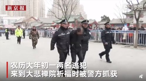 2.11日｜新早读来了！四川大学官网将翟天临列入“学术不端案例”公示栏