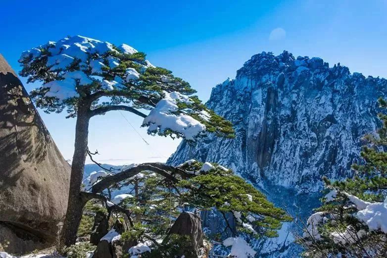 黄山正月游玩,黄山人游黄山免费票难抢吗