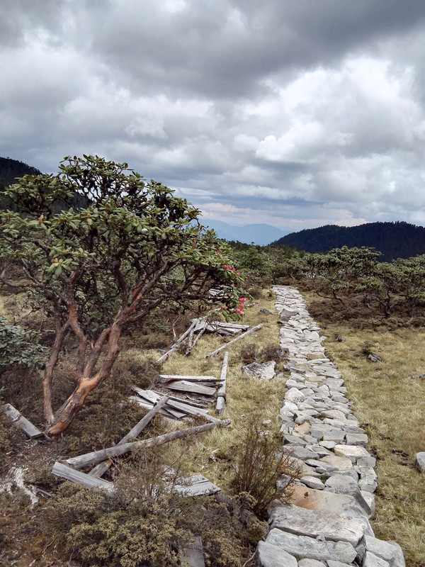 飞拉达攀岩金刀峡,老君山飞拉达攀岩有安全绳吗