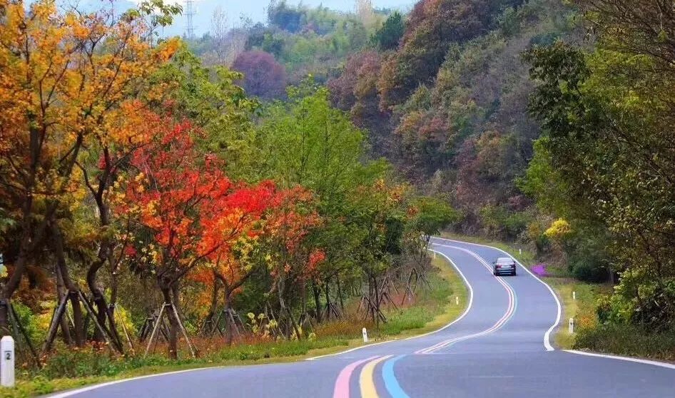 谢志成溧阳,我眼中的家乡纪实