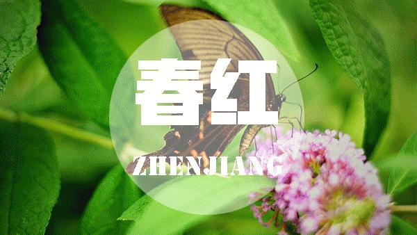 近期天价蔬菜,天价蔬菜一斤多少钱