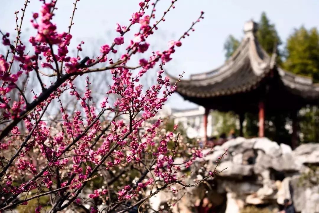 假期没玩够文旅,春节假期没有好好享受