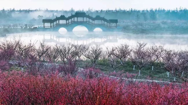 假期没玩够文旅,春节假期没有好好享受