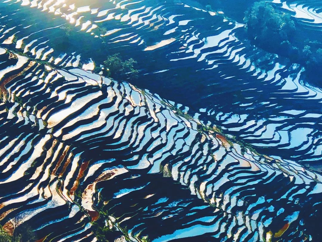 我为什么爱去旅游,为什么我爱一个人旅游