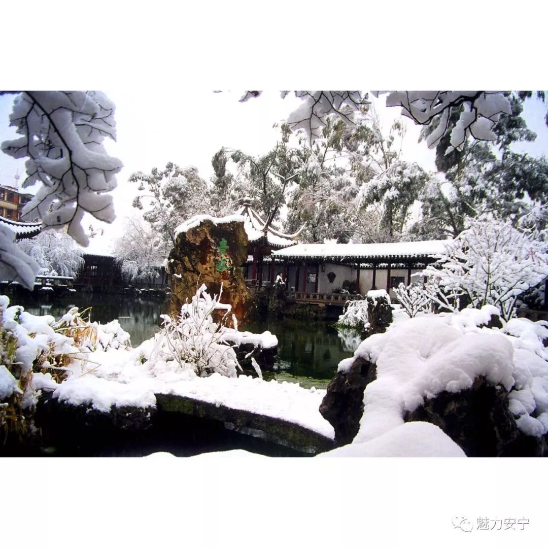 「安宁之美」几多泉石能忘我何处园林不忆君——小记园林第一人陈从周造云南第一园楠园