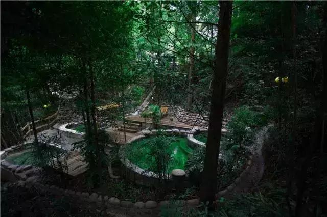 第四城网友特惠｜299元=2大2小「花水湾第一村生态酒店」客房1晚+自助双早+无限次温泉！