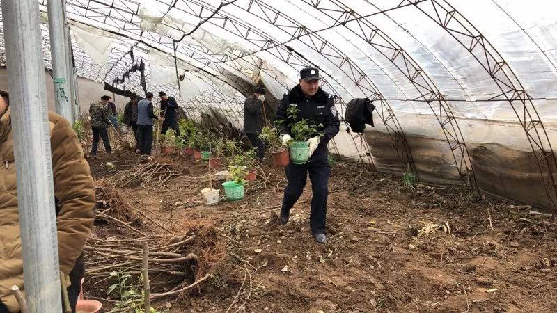 决胜执行难全媒体直播,决胜执行难全媒体直播第十期南京