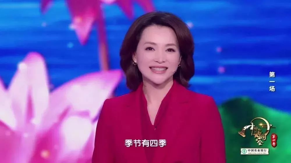 董卿诗词大会经典语录摘抄,董卿的经典语录中国诗词大会