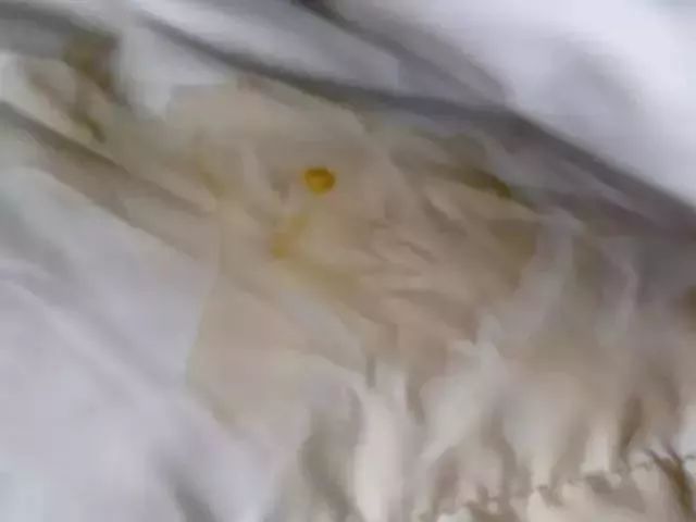 羽绒服脏了怎么局部干洗,羽绒服脏了怎么干洗最好