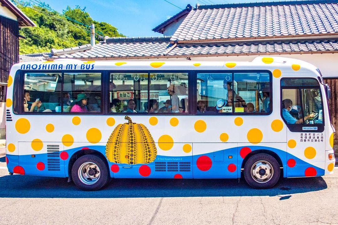 上海赏枫小众景点,小众赏枫