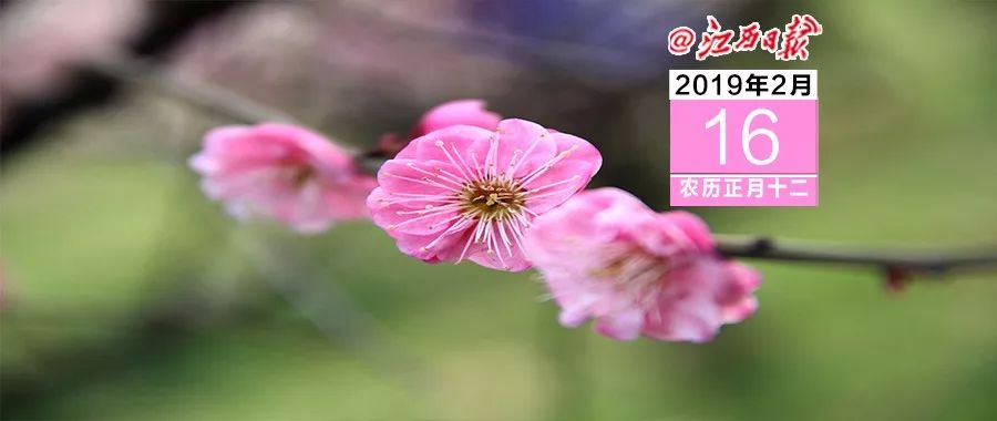 早安长三角新闻地球村,早安地球村