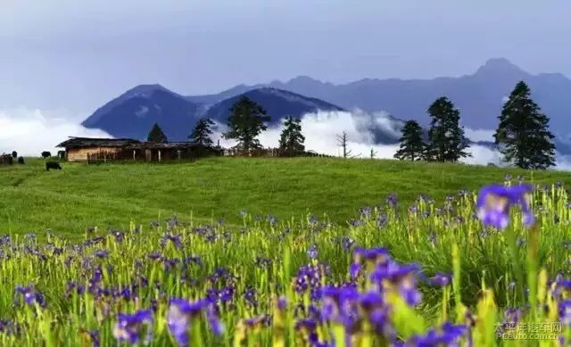 刷新你的世界观！国内最受欢迎的顶级野奢酒店，美到极点奢华到极致！享受质感生活，选这儿准没错！