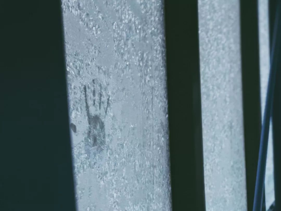 跟台湾小哥哥一起骑着雪地摩托车在北海道的雪地里野