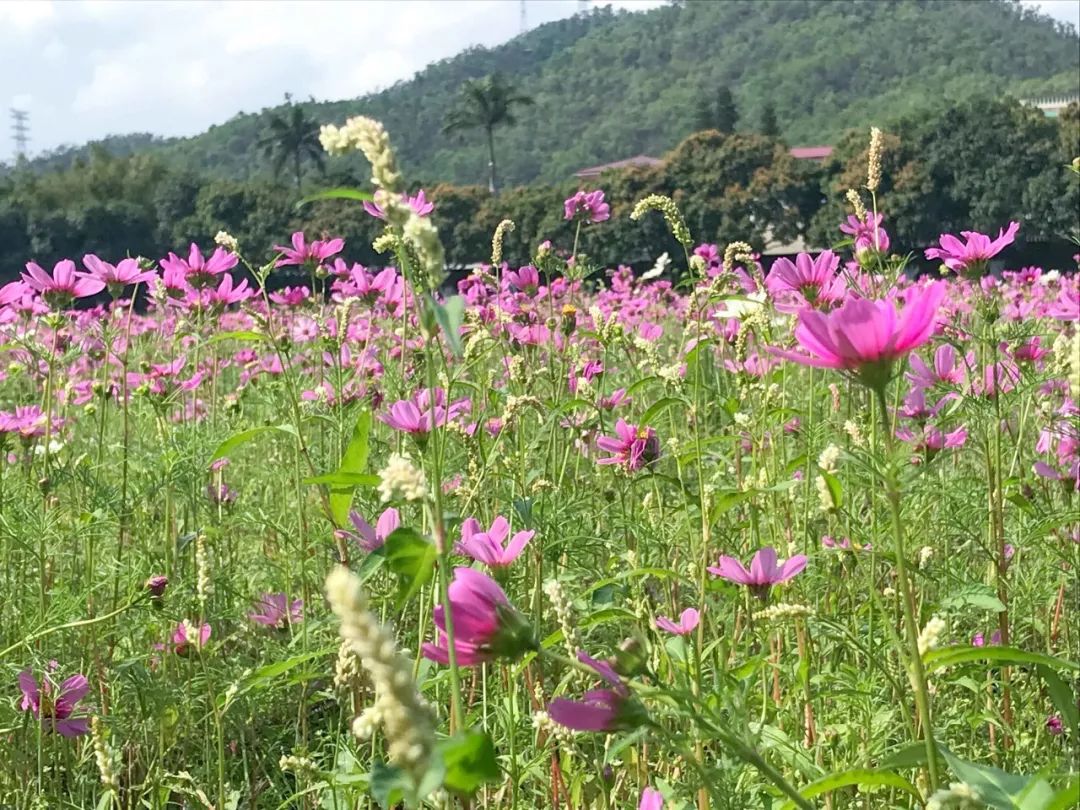 去日本从哪里出发便宜,去日本从哪里出发最便宜