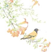 泰山温泉城旅游,五一泰山温泉城