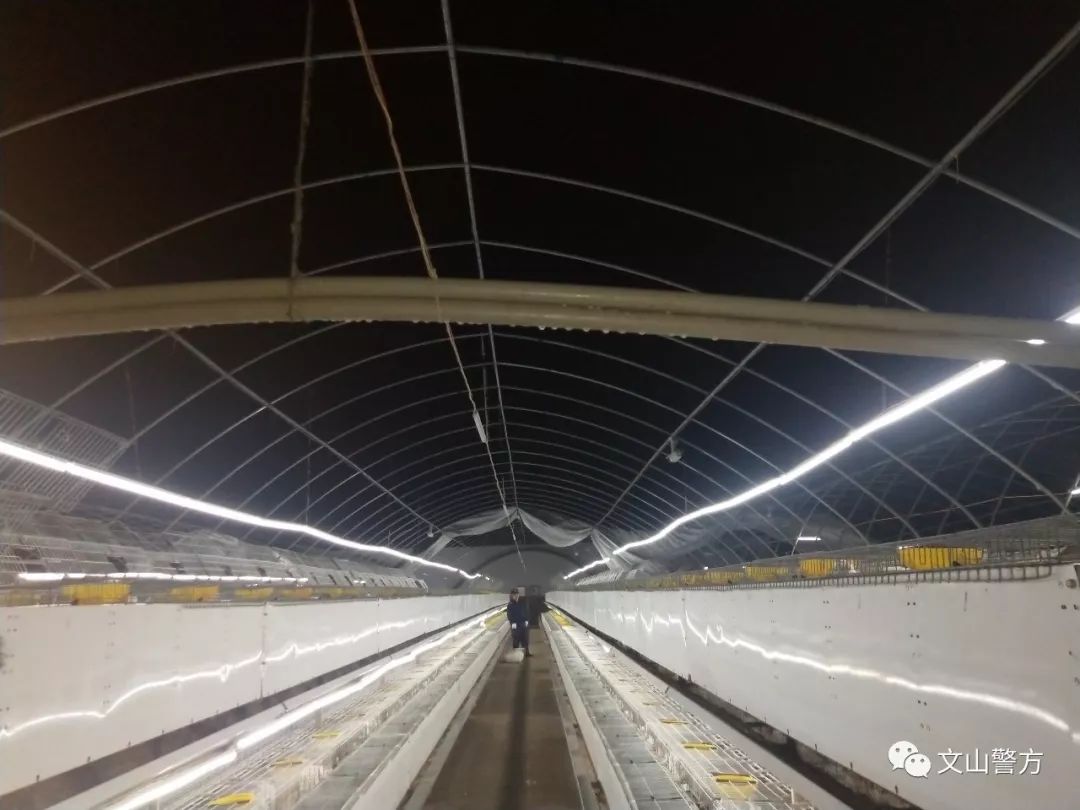 「基层一线」暴雨来袭民警紧急转移4000只兔子为群众挽回经济损失近百万元