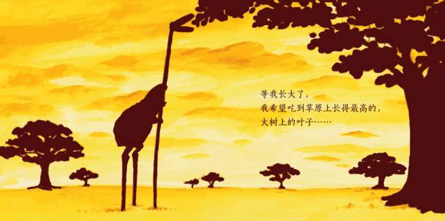 美国aveeno洗护二合一测评,evereden洗护用品咋样