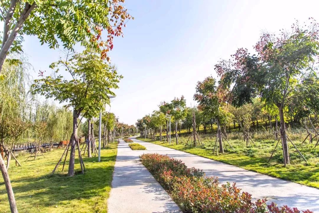 郑州适合骑车去玩的地方,郑州周边适合骑行的公园