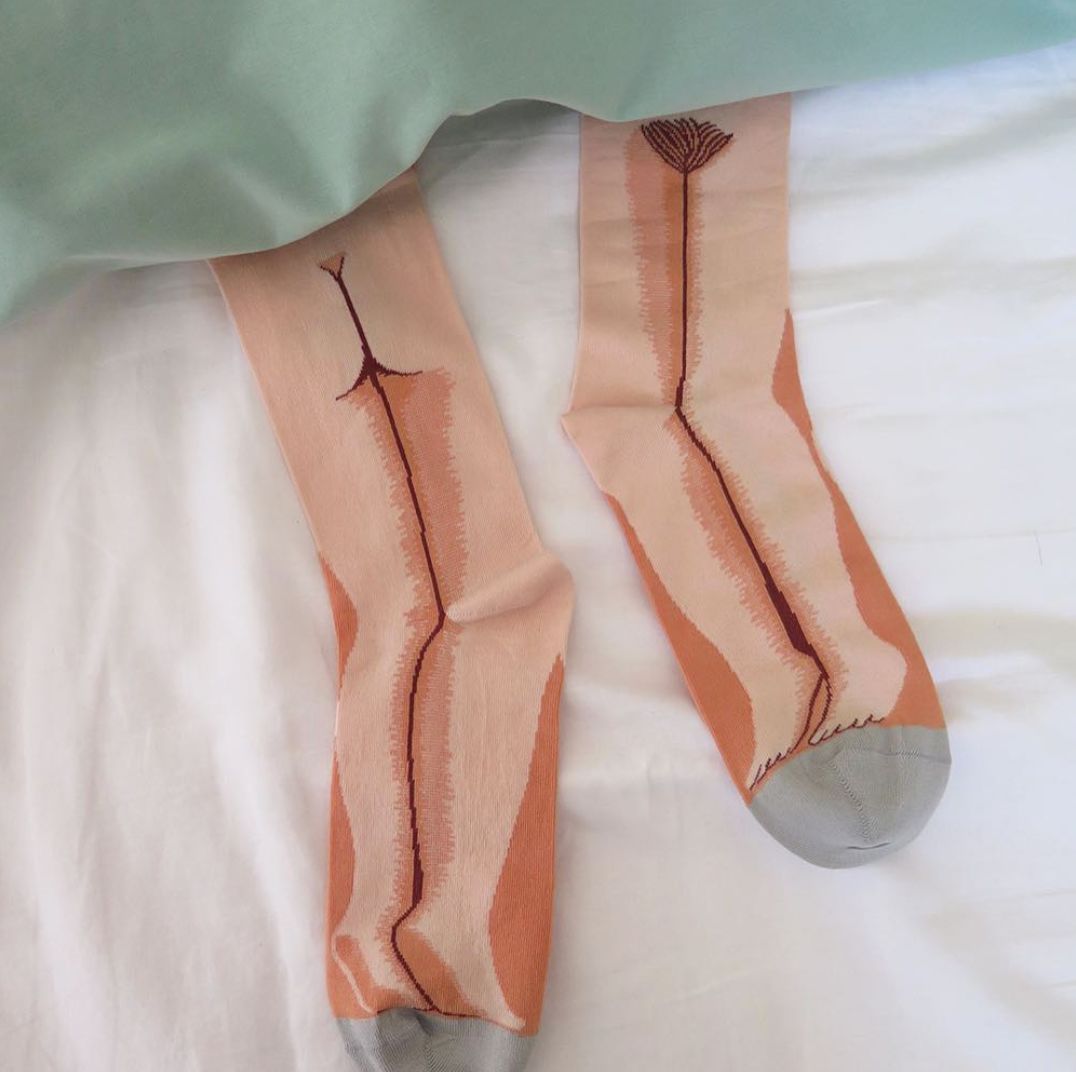 鞋子不够袜子来凑原作者,长度不够袜子来凑