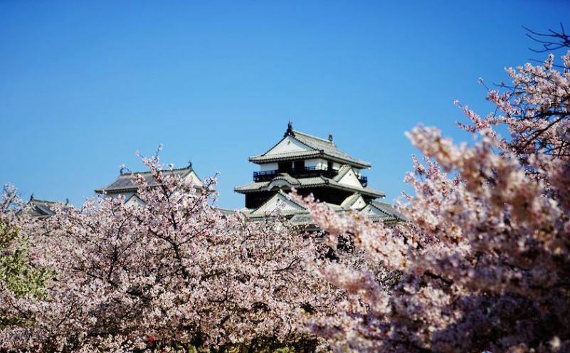 2019年日本樱花季日程表小众赏樱攻略！