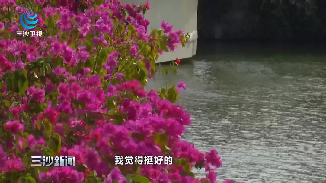 天涯印象创作的原声,天涯印象的主页