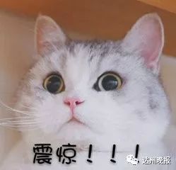 越野车冲下山沟受伤,越野车掉进桥下救援