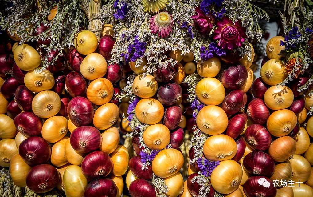 在狂投2.2亿之后,他终于想明白一件事……