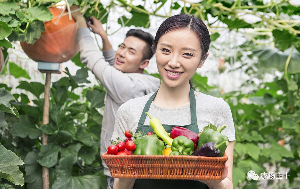 在狂投2.2亿之后,他终于想明白一件事……