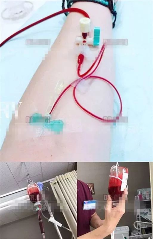 跟着女明星一起吃减脂餐,跟着女明星喝胶原蛋白