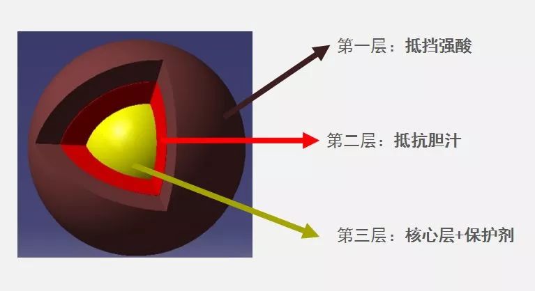 喝水排肠毒清宿便的方法,万病之源肠道菌群