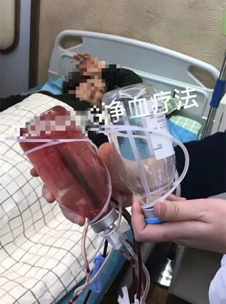 跟着明星减肥吃饭,跟着明星减肥吃什么