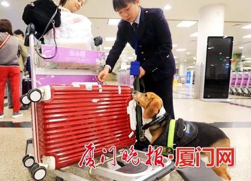 境外可以携带多少免税物品入境,出国旅游可带多少免税商品