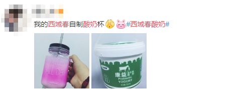 新疆酸奶测评推荐,地方特色酸奶测评