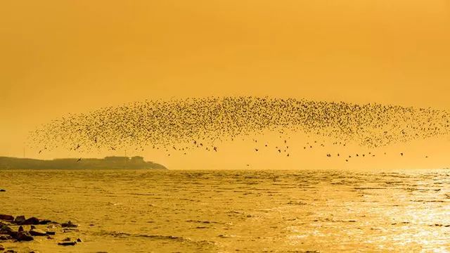 营口生活指南大全,营口市本地生活指南
