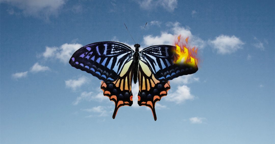 海底捞目前的不足之处,海底捞口碑下滑是什么原因