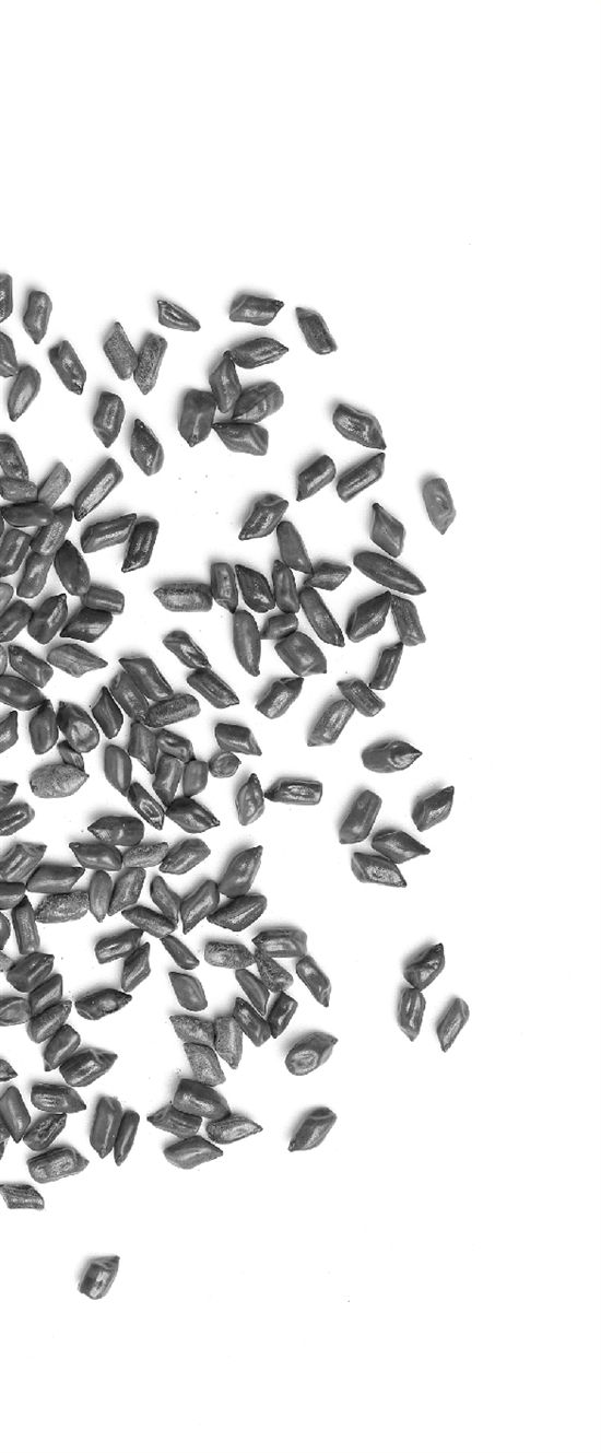 儿童游乐场里的决明子有什么用,儿童玩决明子沙子有危害吗