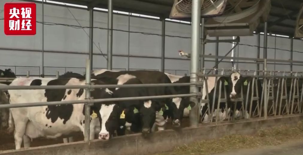 宝宝喝的牛奶跌价没有,奶涨价了是什么原因