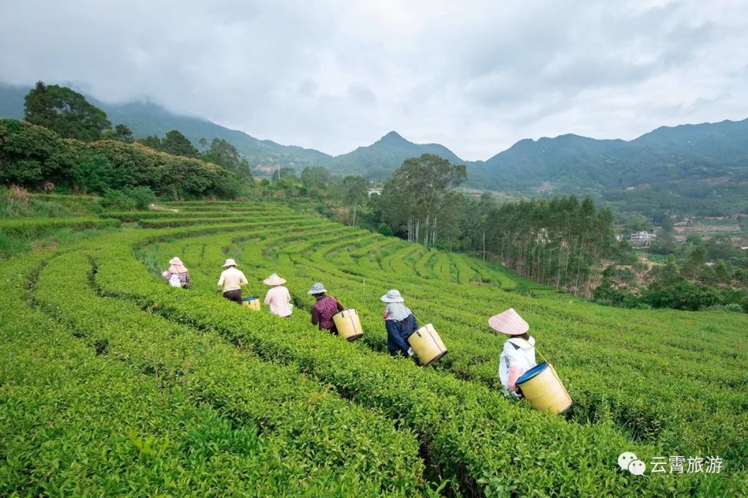 吃喝玩乐云霄,云霄吃喝玩乐一日攻略