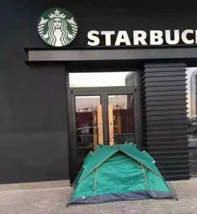 樱花猫爪杯是什么,樱花猫爪杯